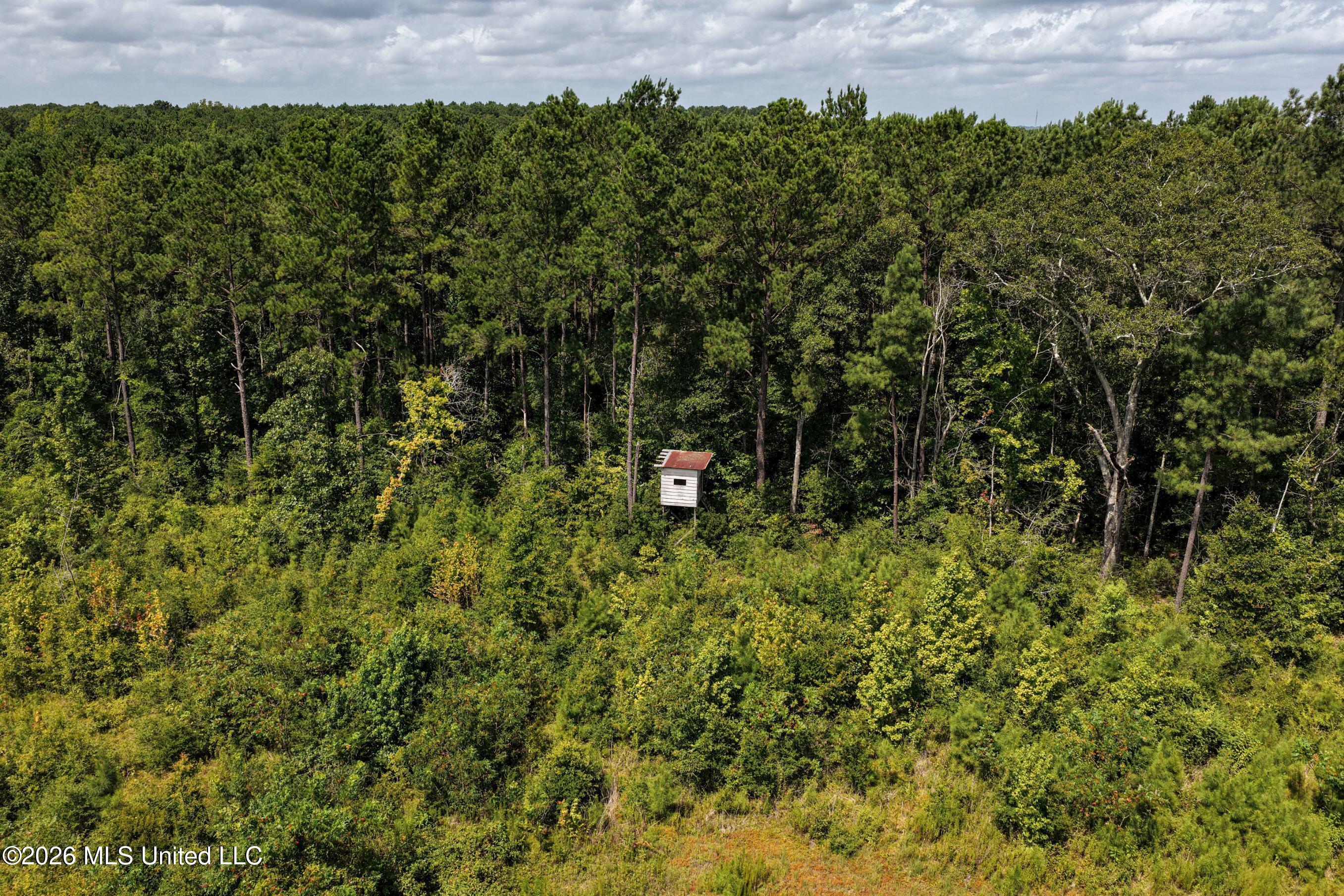 226 Van Holmes Road Property Photo 14
