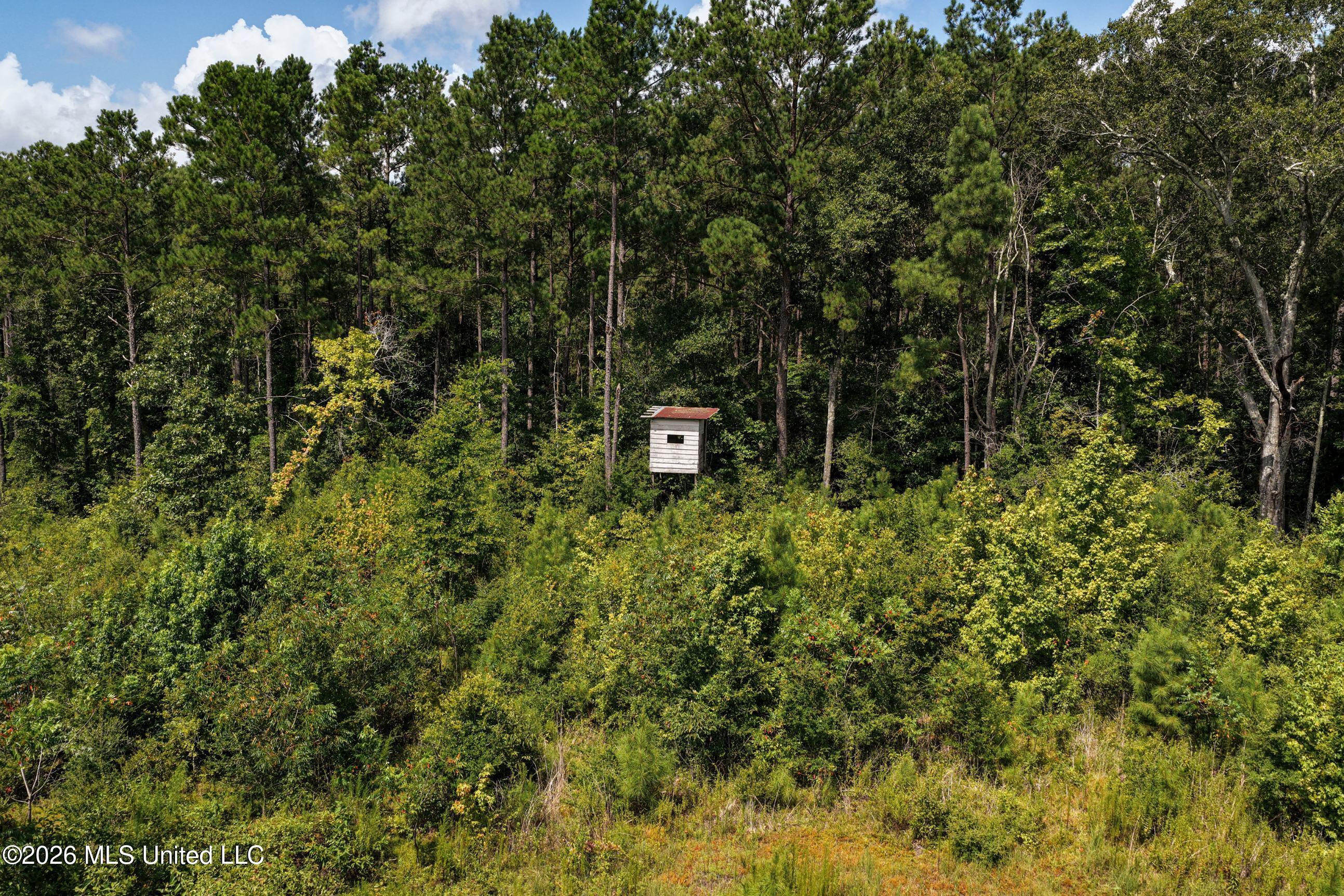 226 Van Holmes Road Property Photo 15