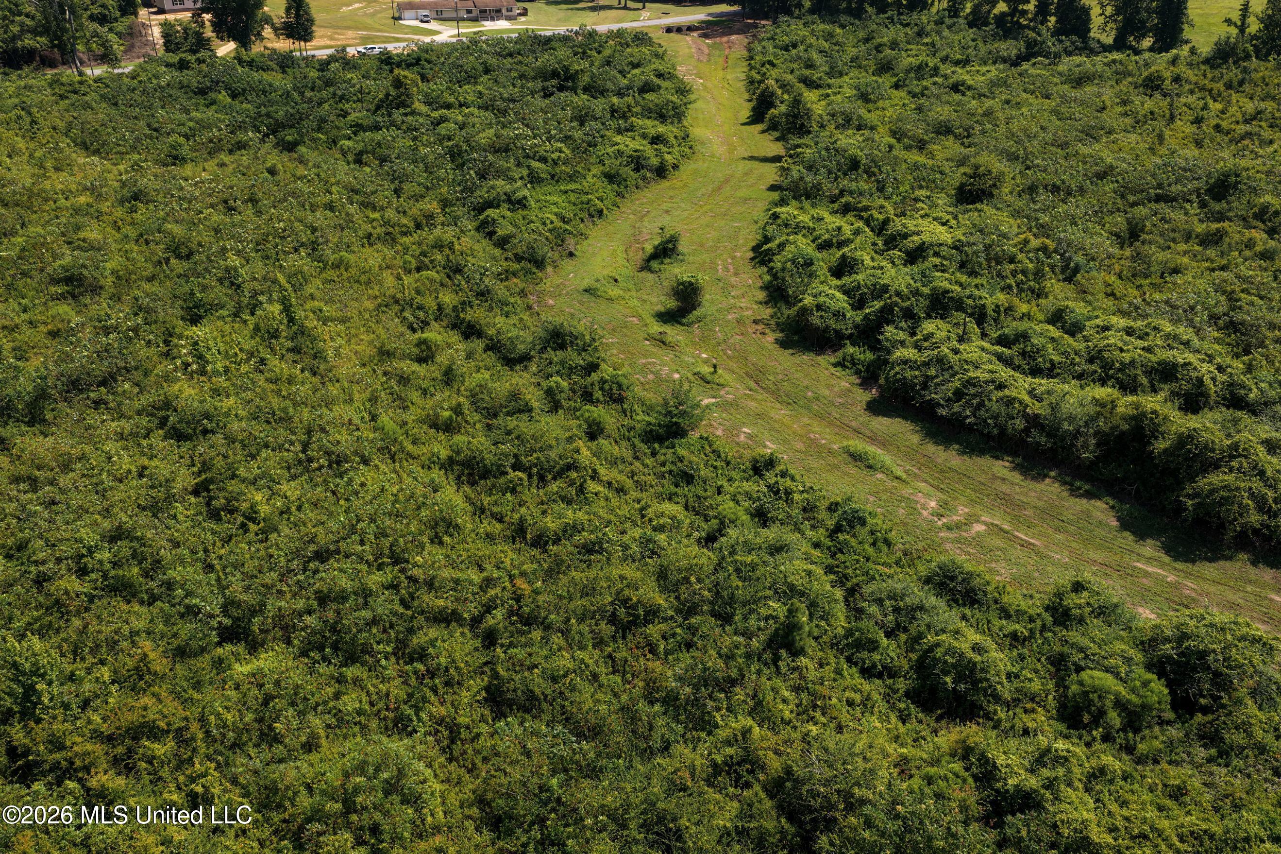 226 Van Holmes Road Property Photo 17