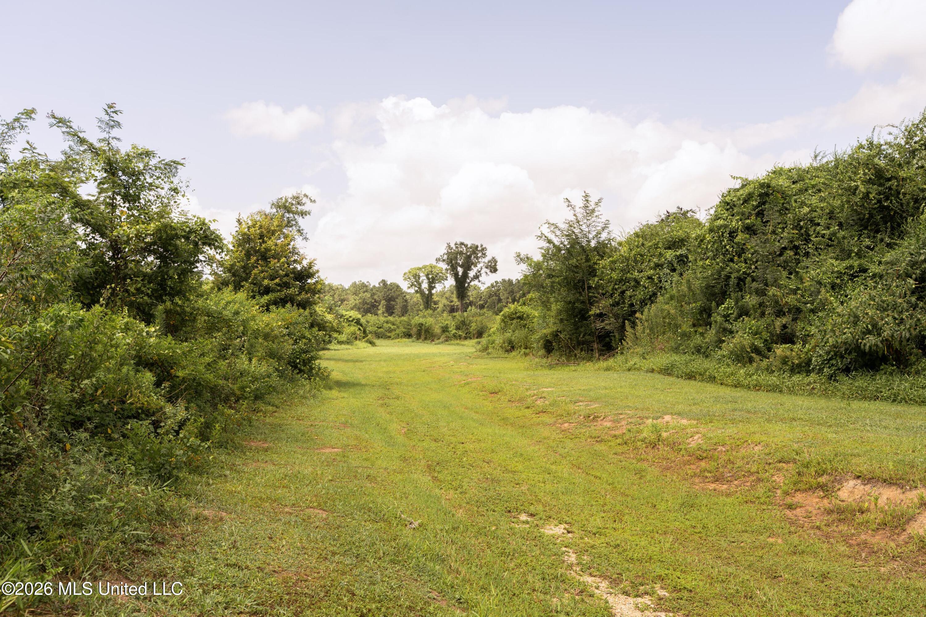 226 Van Holmes Road Property Photo 23