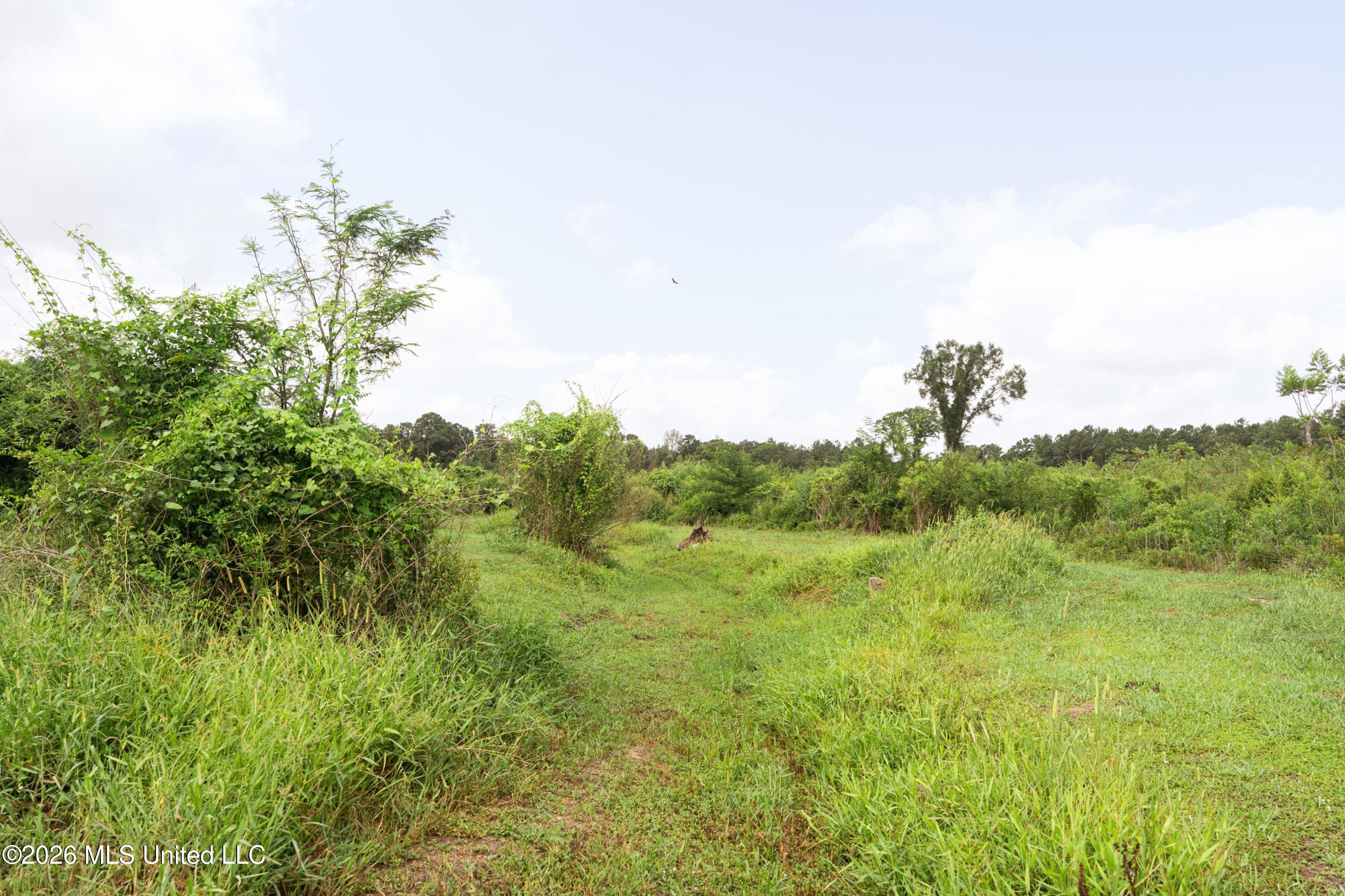 226 Van Holmes Road Property Photo 25