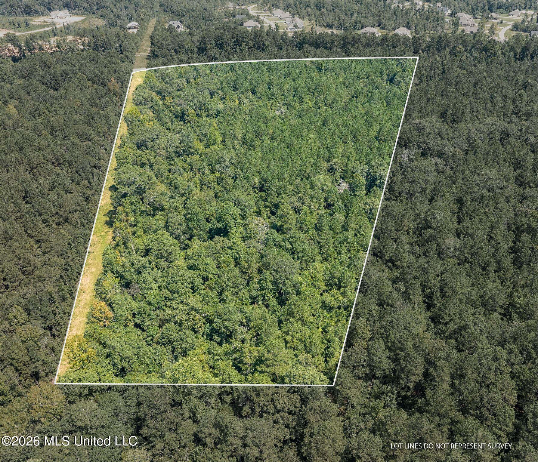20 Acres Hwy 589 Property Photo 2