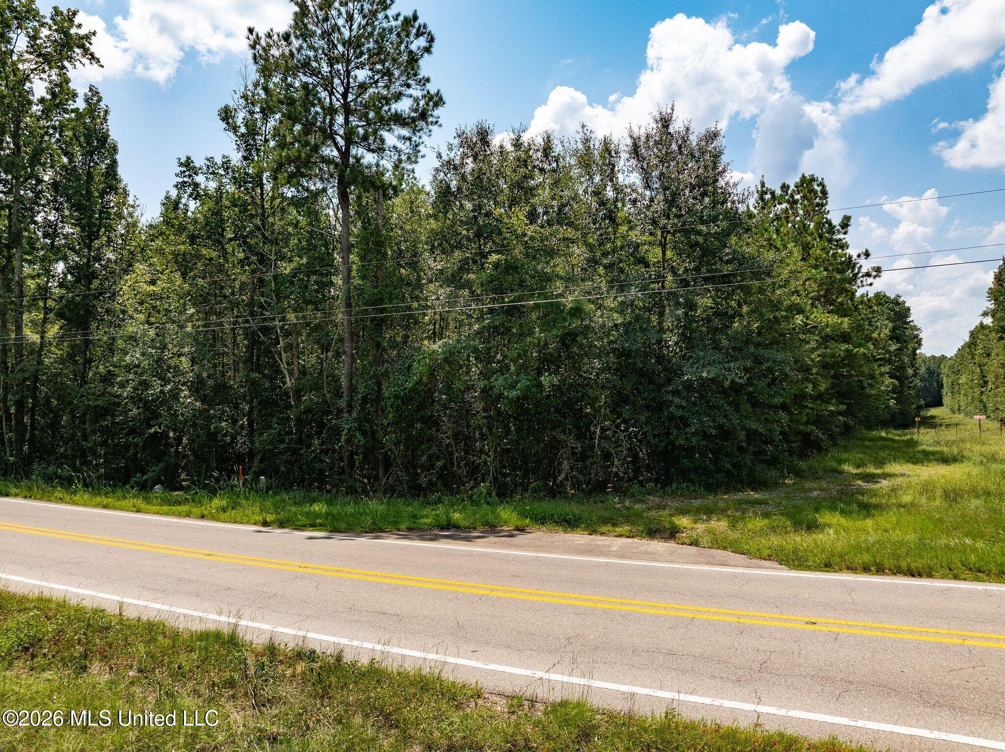 20 Acres Hwy 589 Property Photo 4