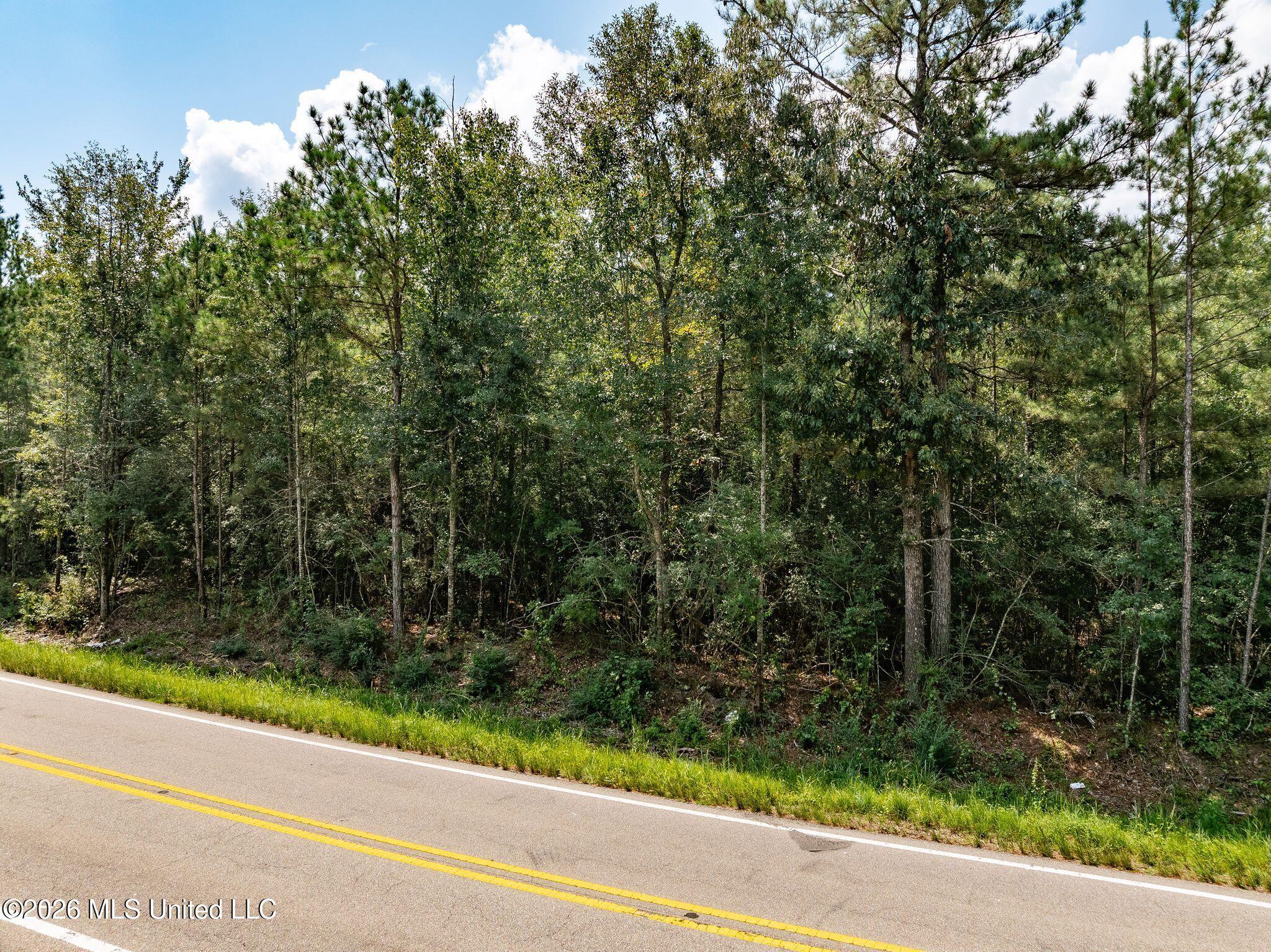 20 Acres Hwy 589 Property Photo 5