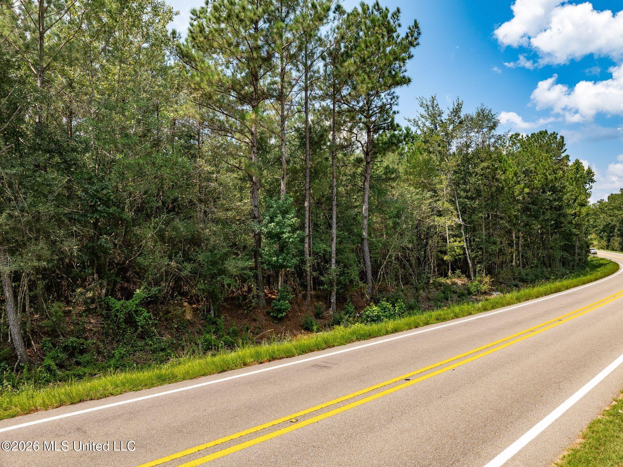 20 Acres Hwy 589 Property Photo 6
