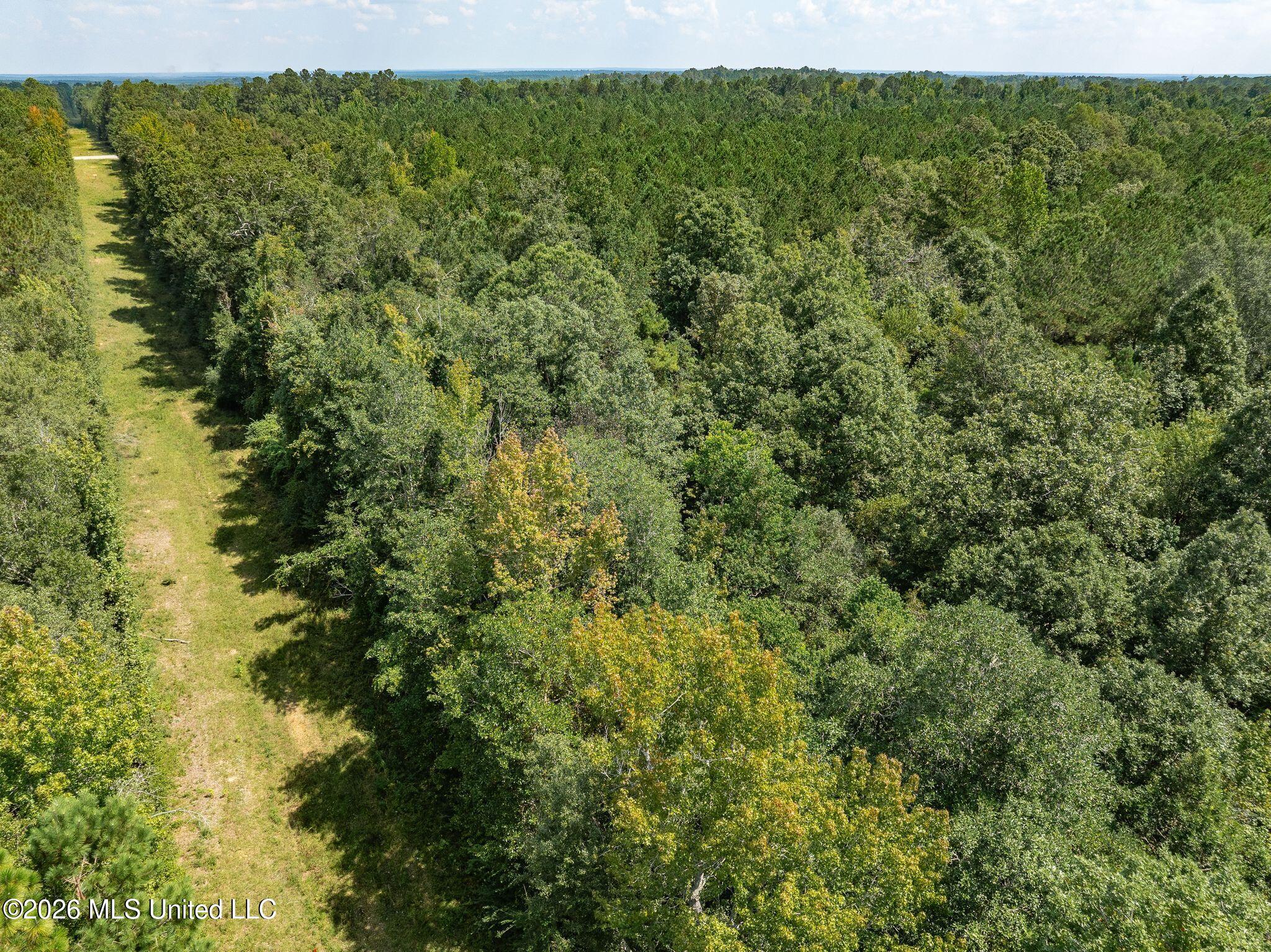 20 Acres Hwy 589 Property Photo 7