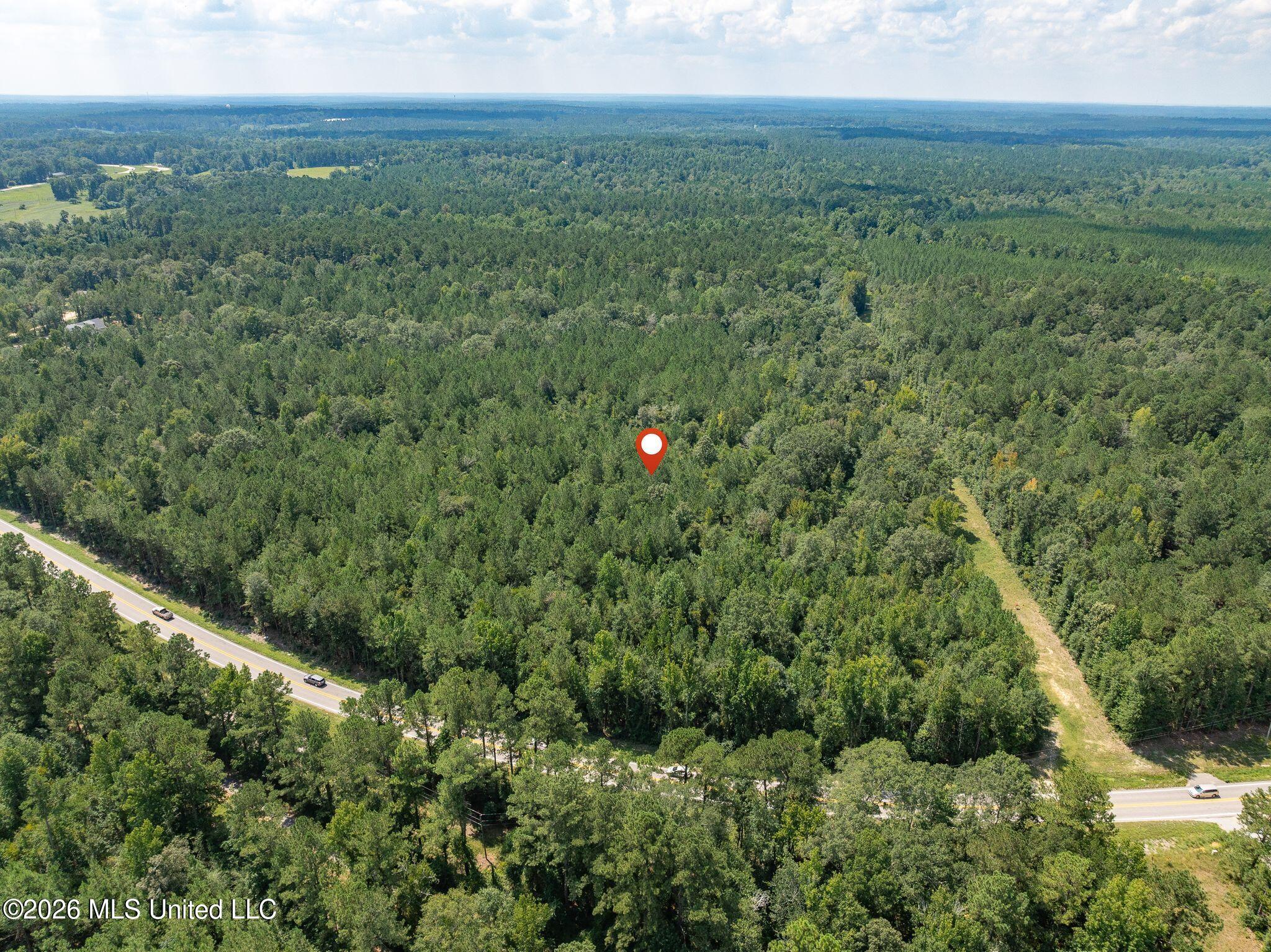 20 Acres Hwy 589 Property Photo 10