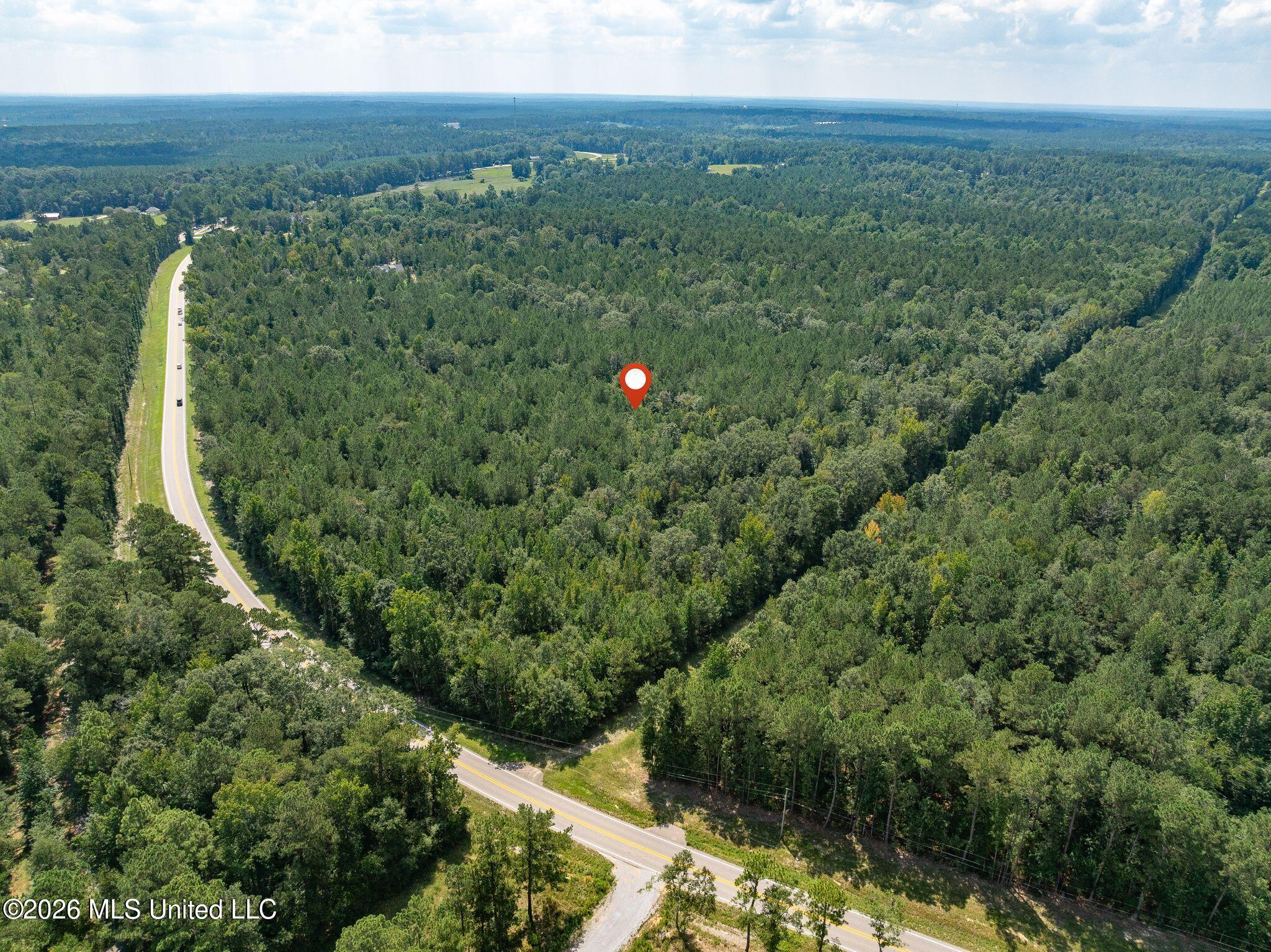 20 Acres Hwy 589 Property Photo 11