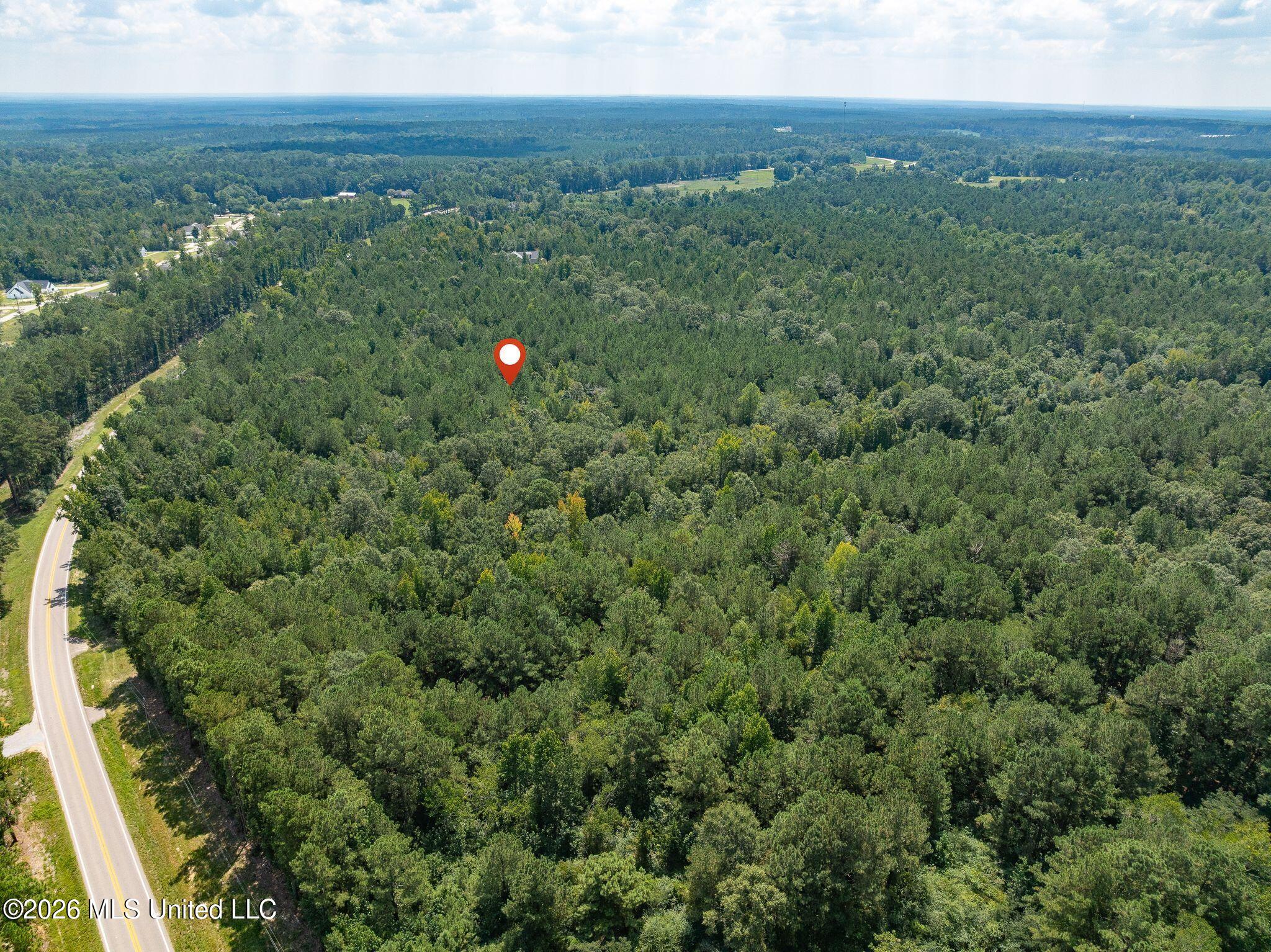 20 Acres Hwy 589 Property Photo 12
