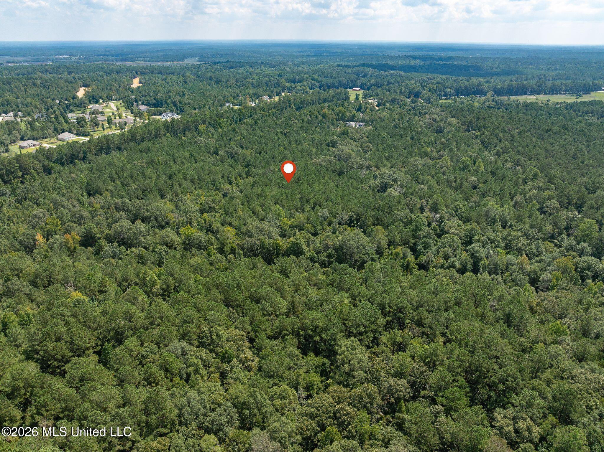 20 Acres Hwy 589 Property Photo 13