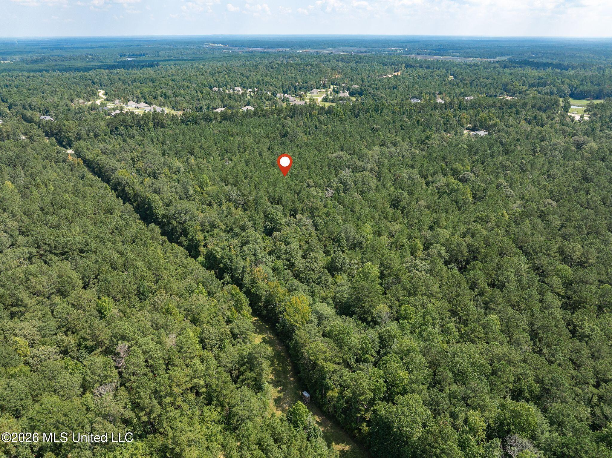 20 Acres Hwy 589 Property Photo 14