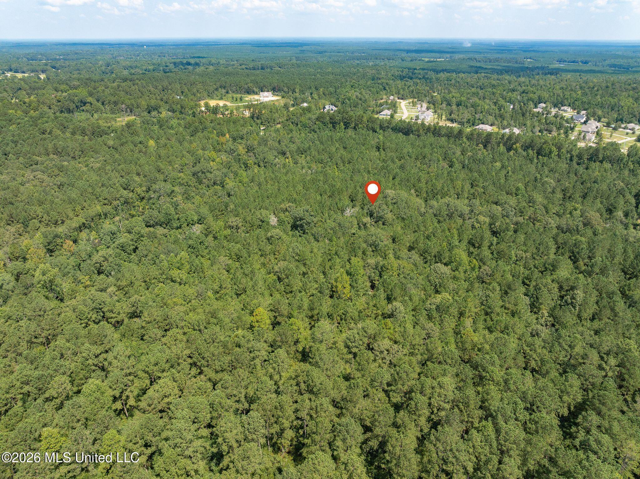 20 Acres Hwy 589 Property Photo 15