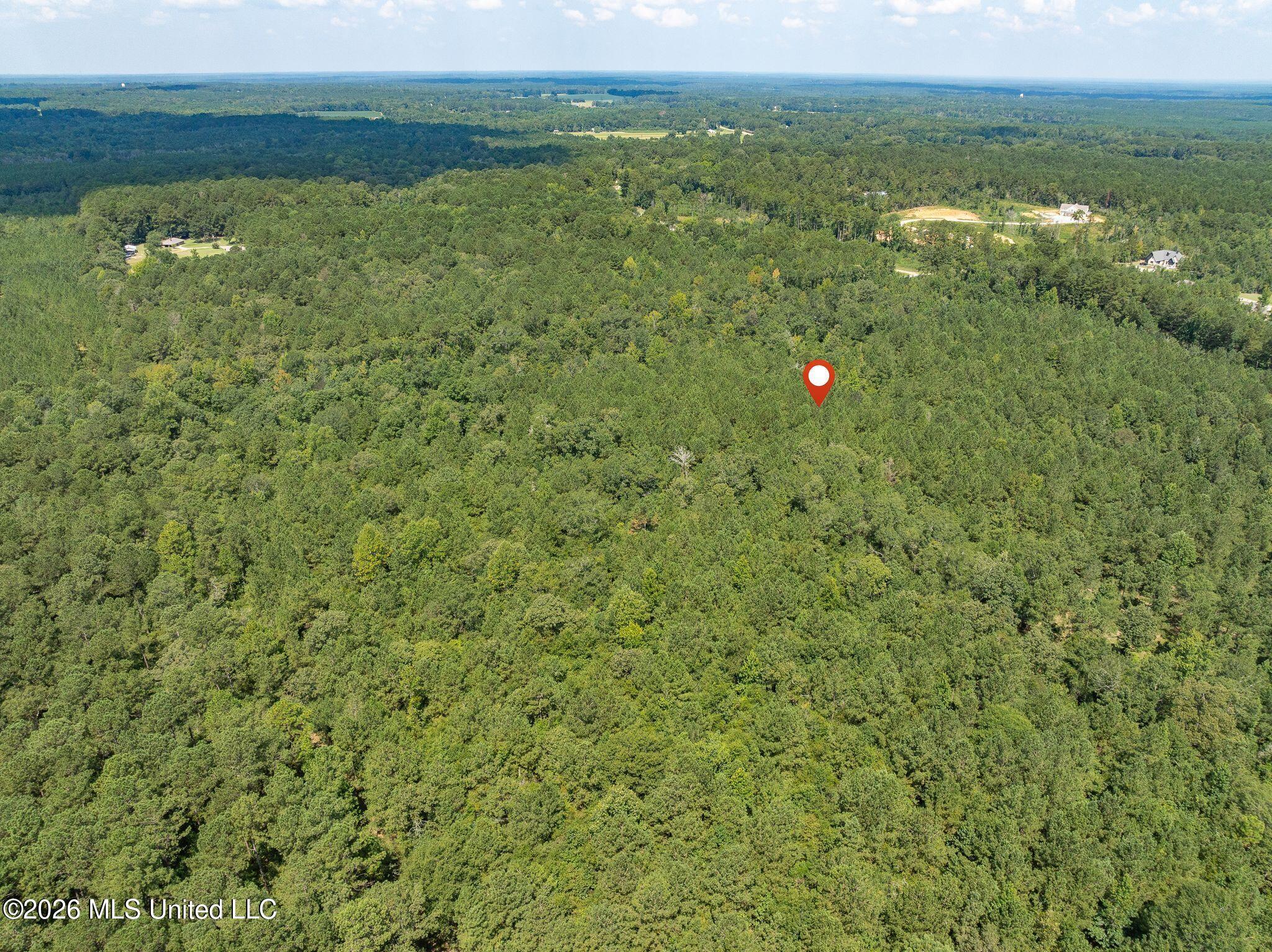 20 Acres Hwy 589 Property Photo 16
