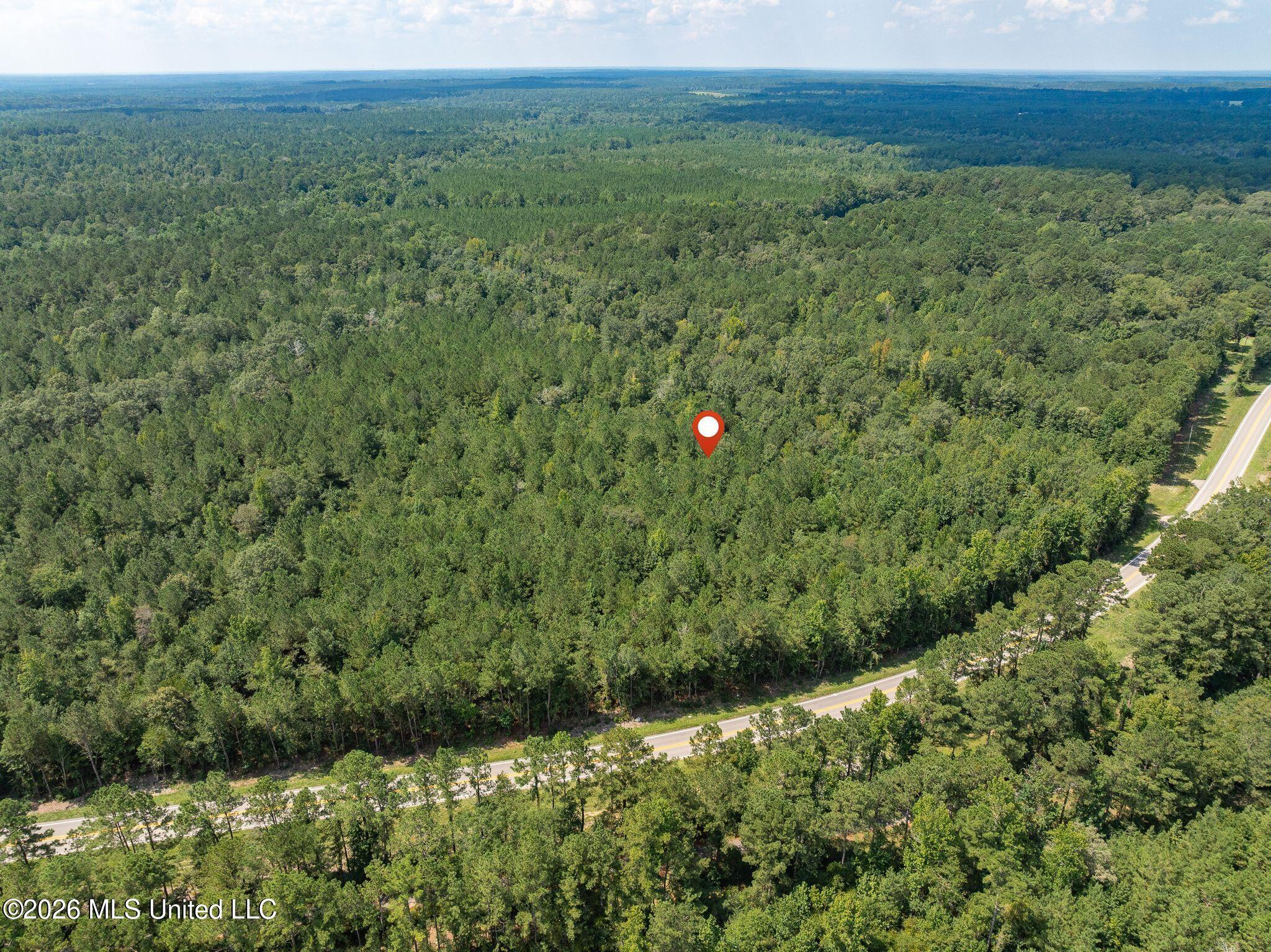 20 Acres Hwy 589 Property Photo 17