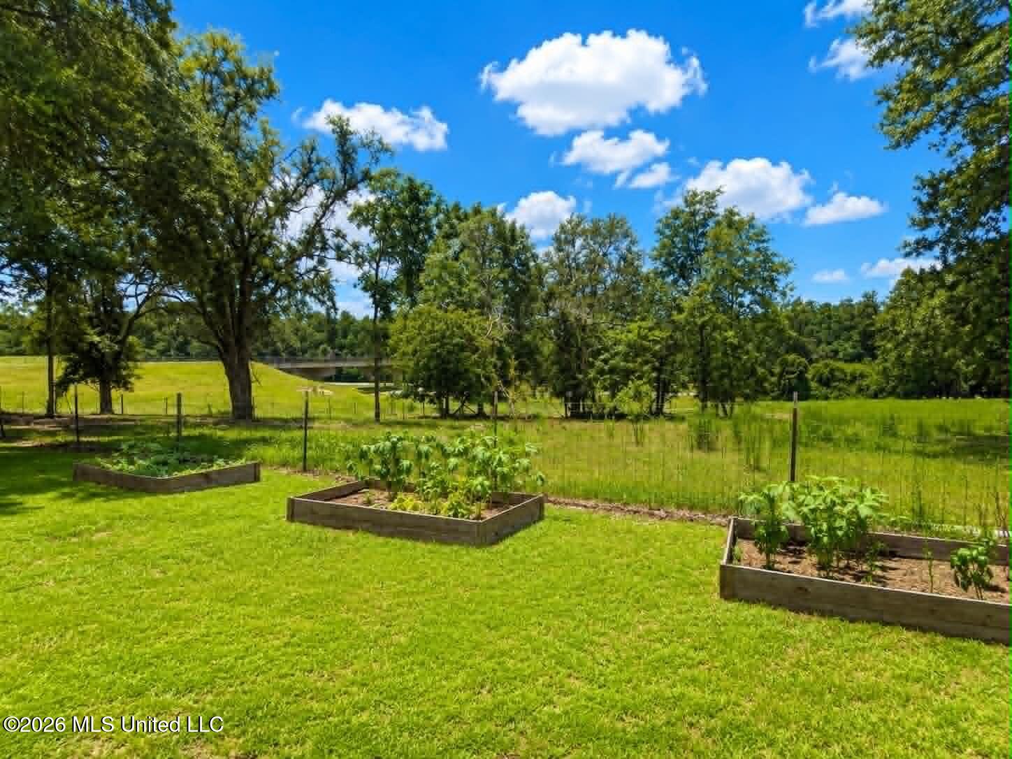 2125 Fig Farm Road Property Photo 41
