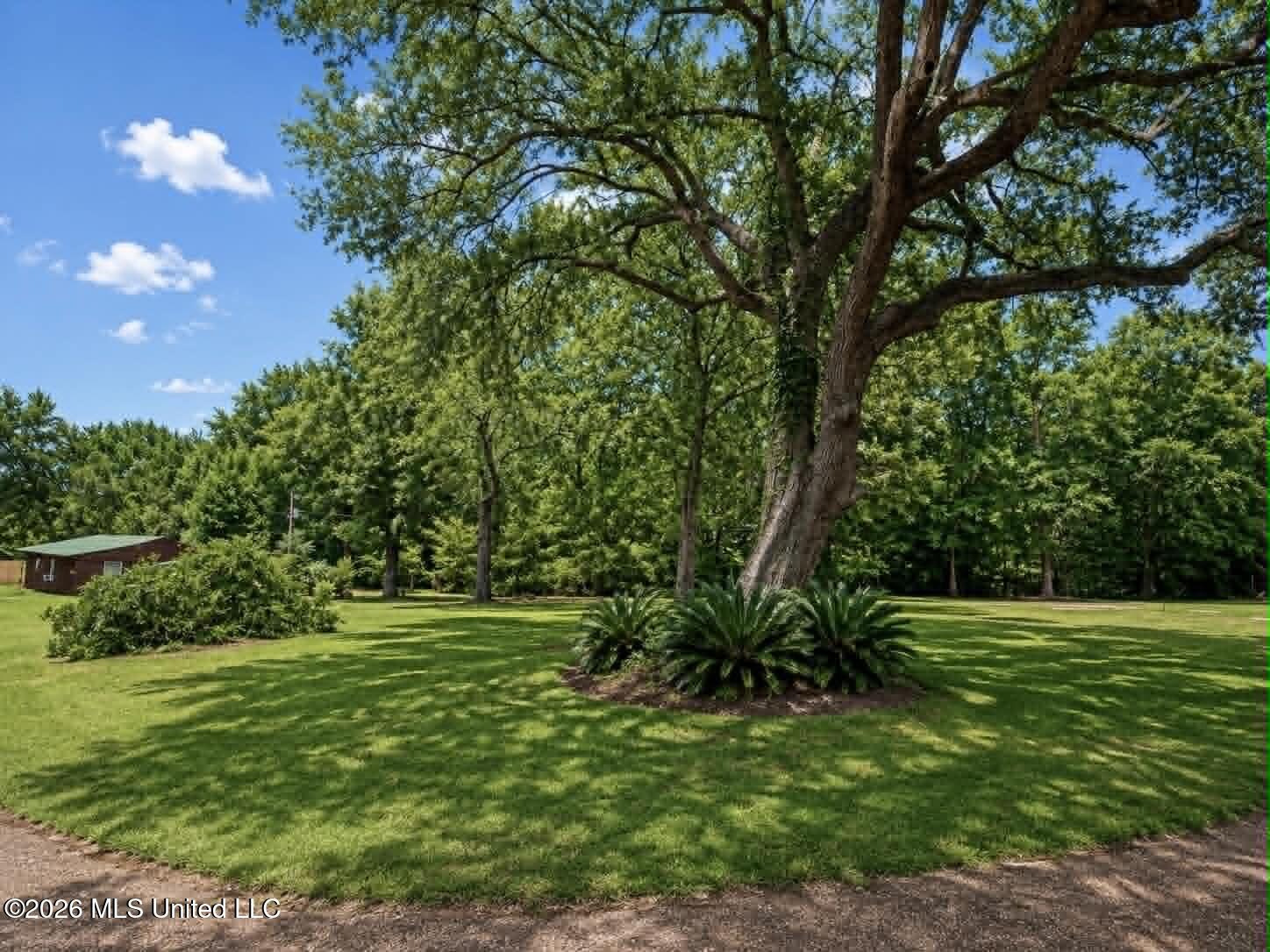 2125 Fig Farm Road Property Photo 44