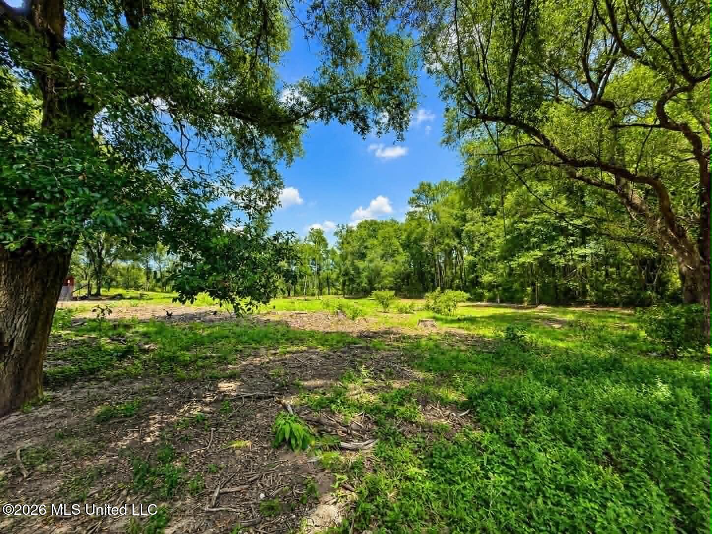 2125 Fig Farm Road Property Photo 46