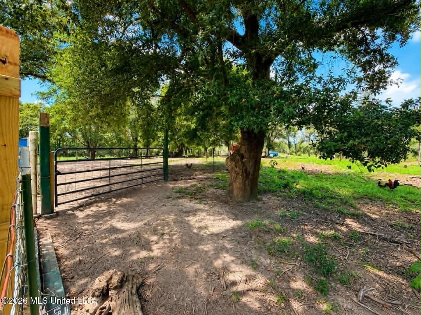 2125 Fig Farm Road Property Photo 47