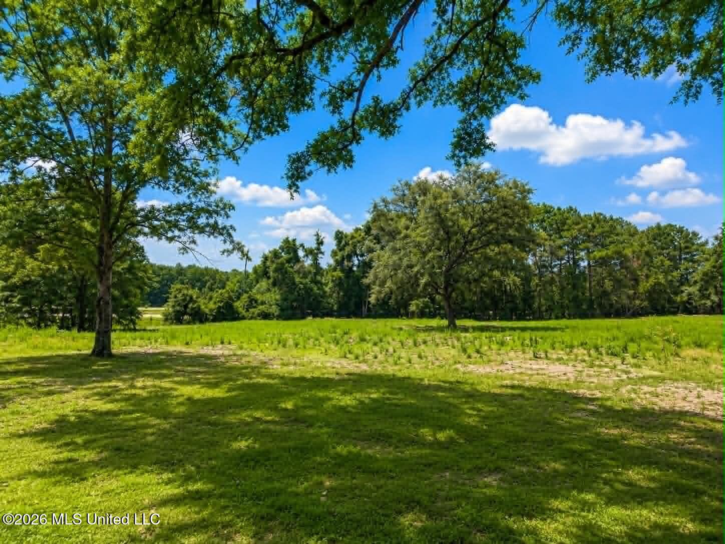 2125 Fig Farm Road Property Photo 56