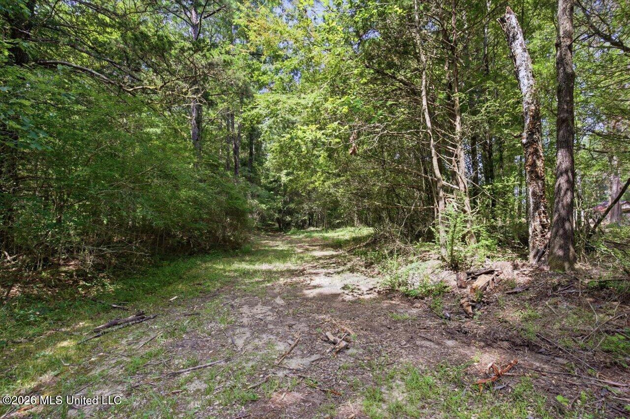 077 Potluck Road Property Photo 3