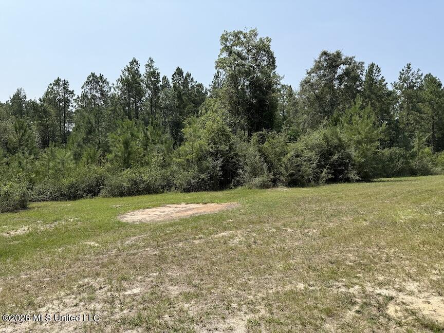 Roy Oneal Road Property Photo 1