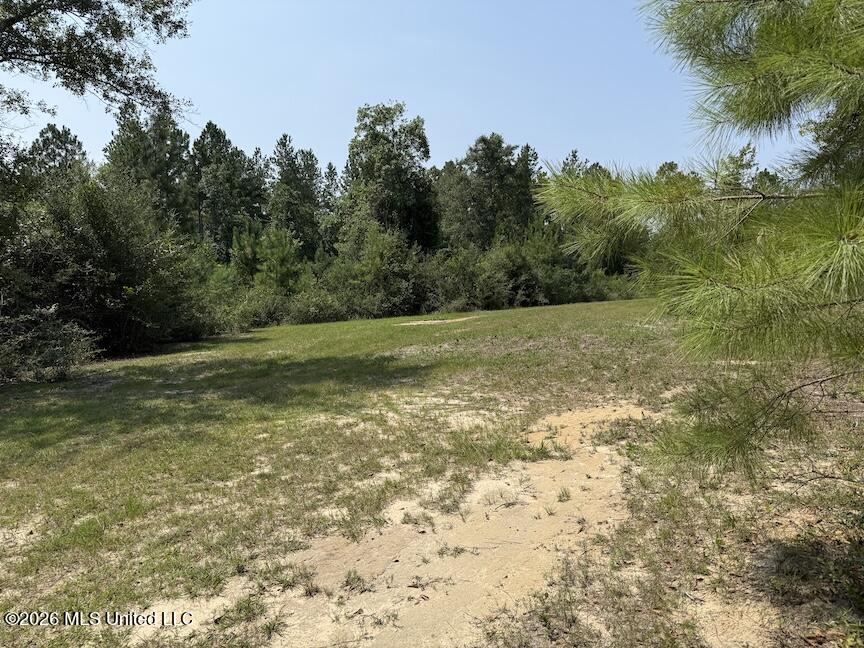 Roy Oneal Road Property Photo 2