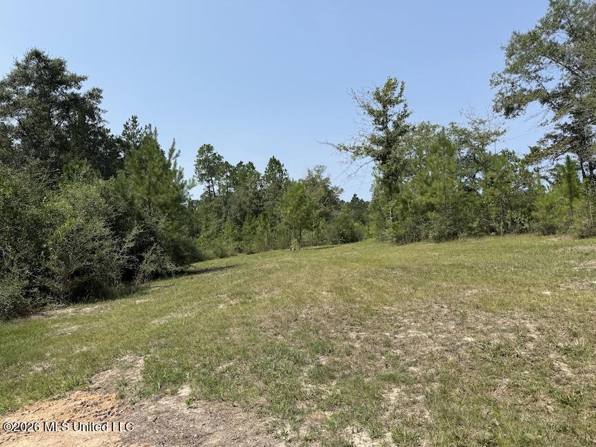 Roy Oneal Road Property Photo 3