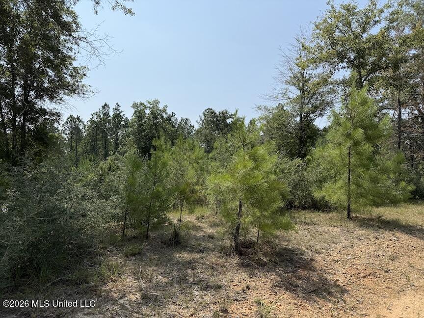 Roy Oneal Road Property Photo 4