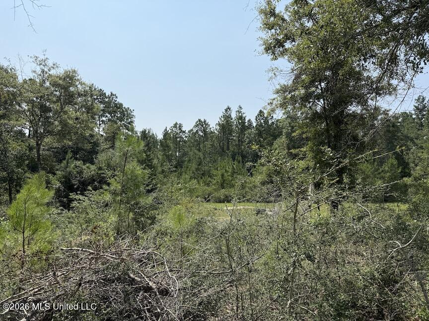 Roy Oneal Road Property Photo 5