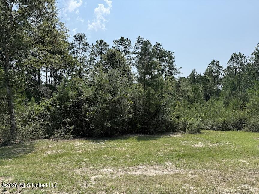 Roy Oneal Road Property Photo 6