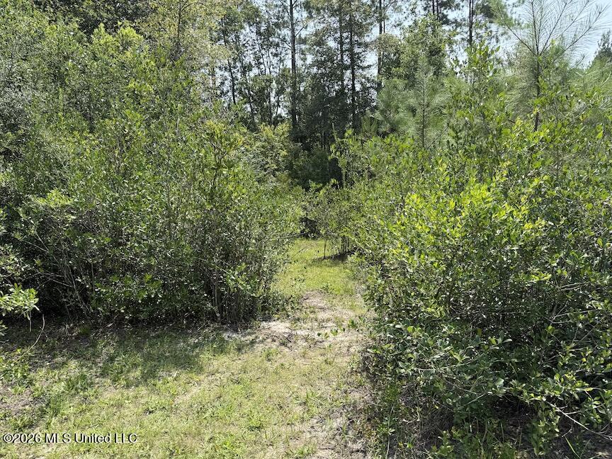 Roy Oneal Road Property Photo 7