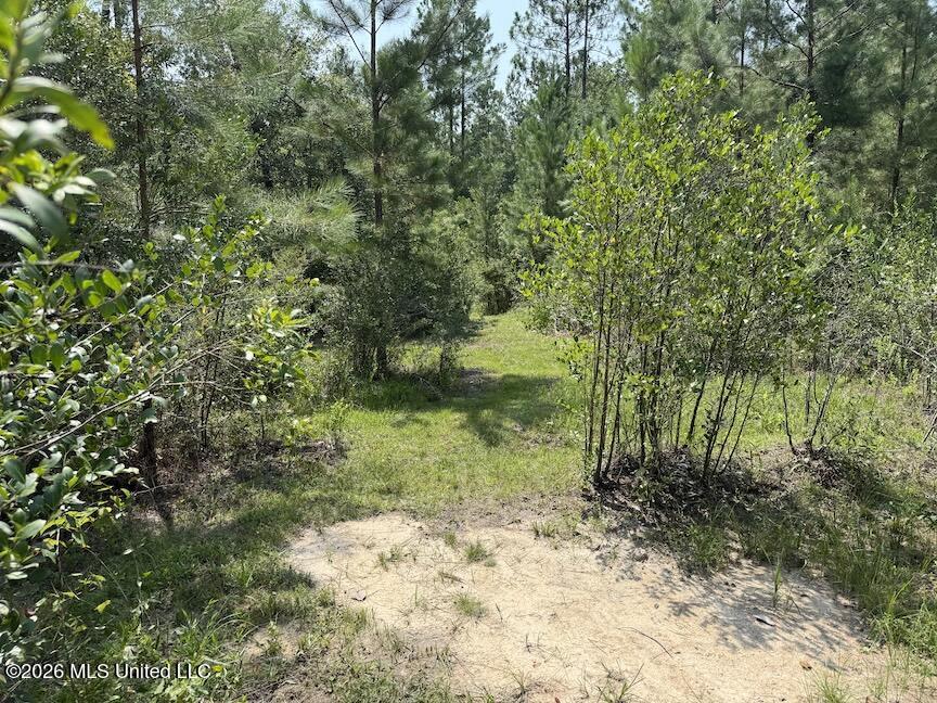 Roy Oneal Road Property Photo 8