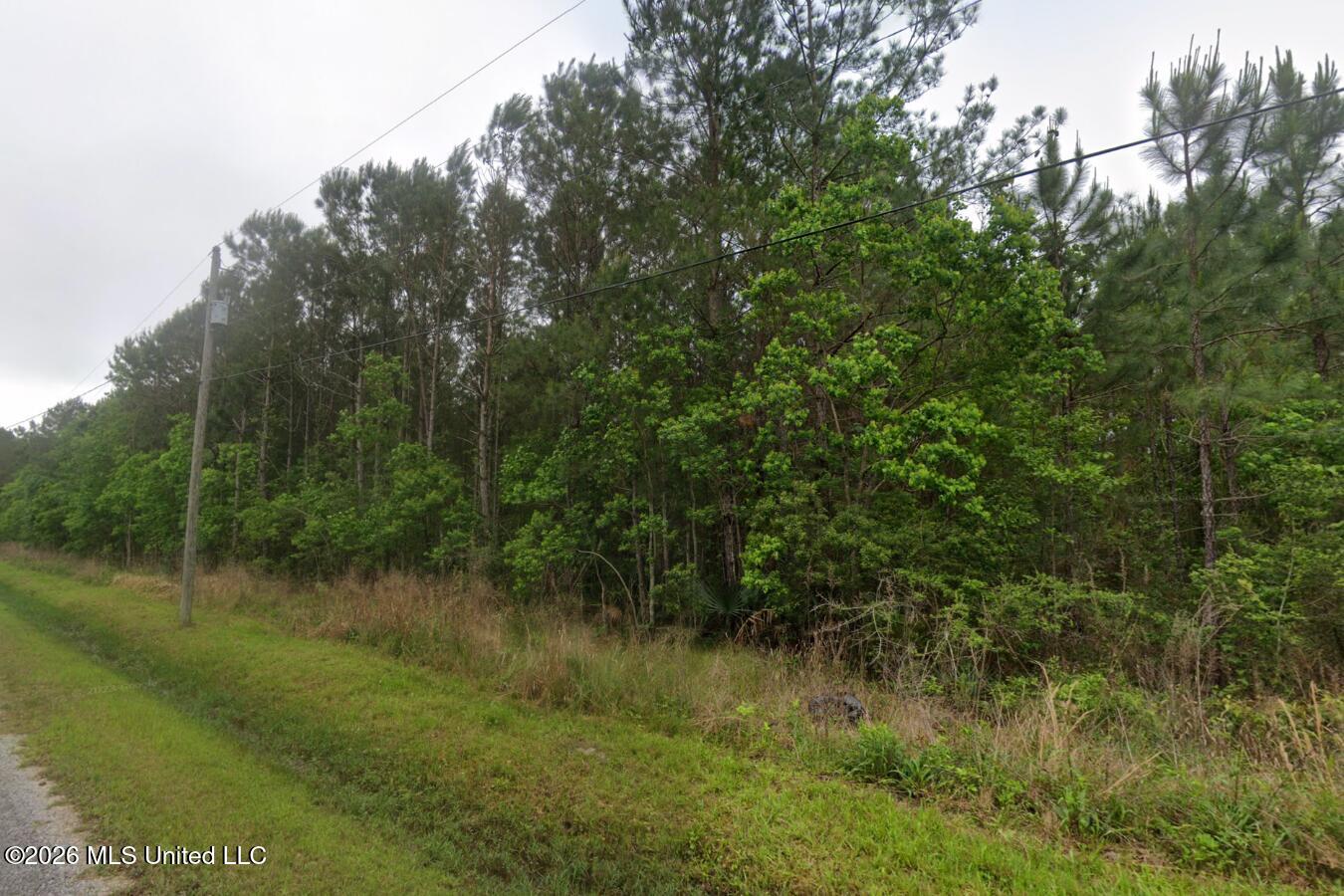 Twelfth Street Property Photo 2