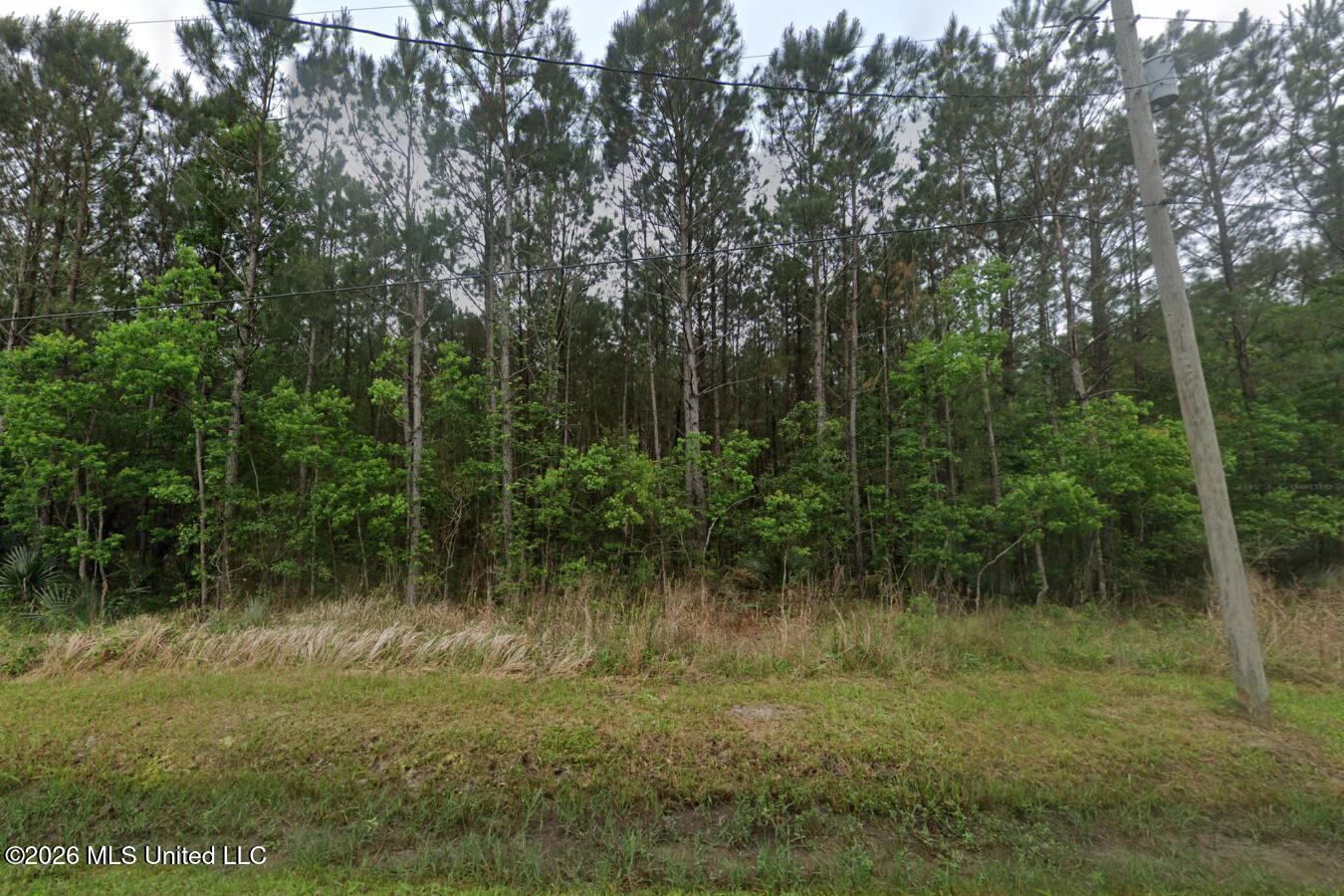 Twelfth Street Property Photo 3