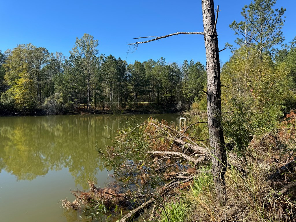 2014 Sanders Lane Property Photo 2
