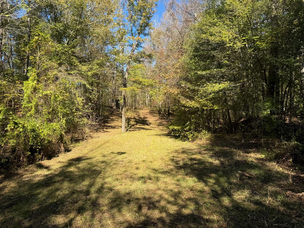 2014 Sanders Lane Property Photo 3