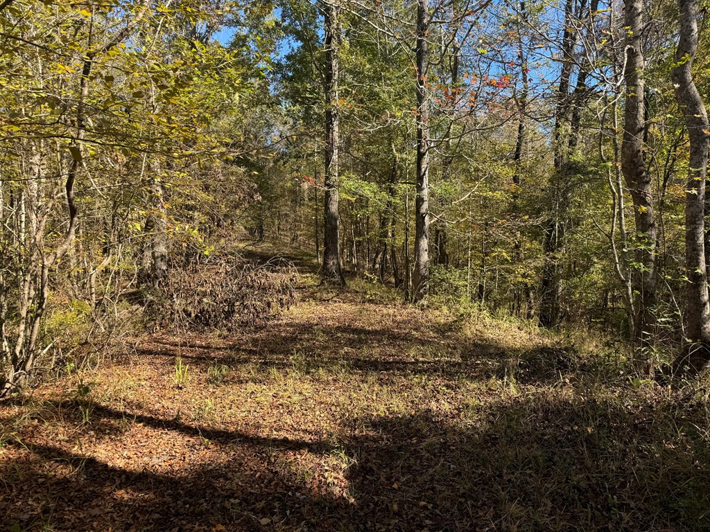2014 Sanders Lane Property Photo 4
