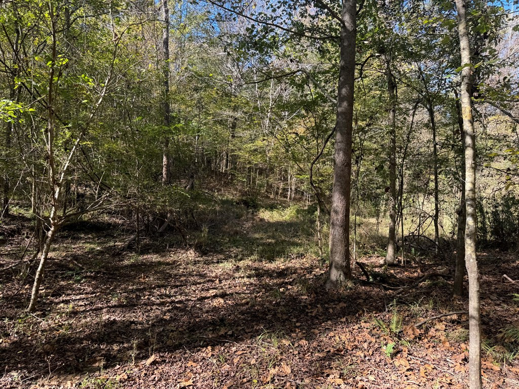 2014 Sanders Lane Property Photo 5