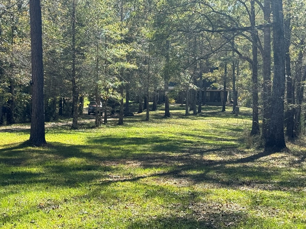 2014 Sanders Lane Property Photo 6