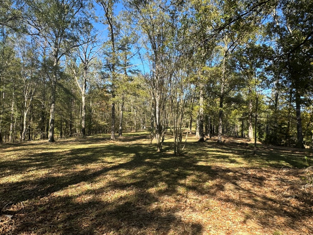 2014 Sanders Lane Property Photo 7