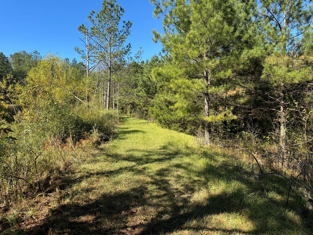 2014 Sanders Lane Property Photo 18