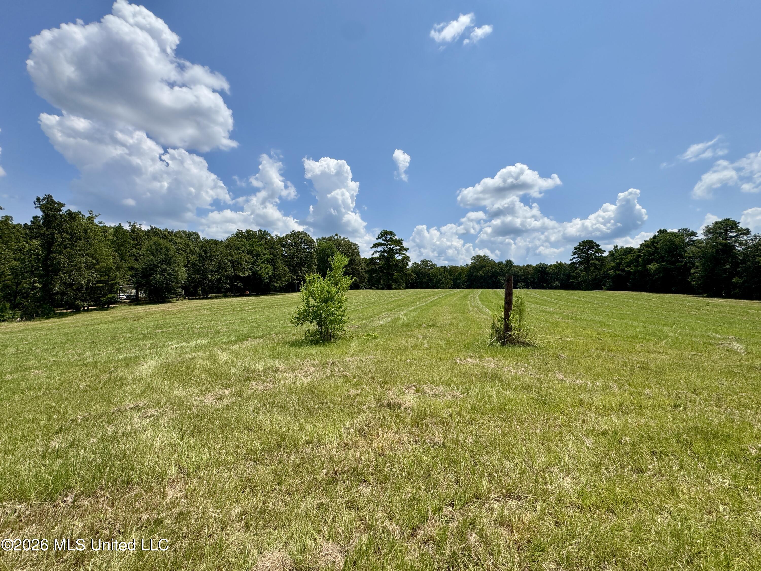 1530 Highway 49 Property Photo 16