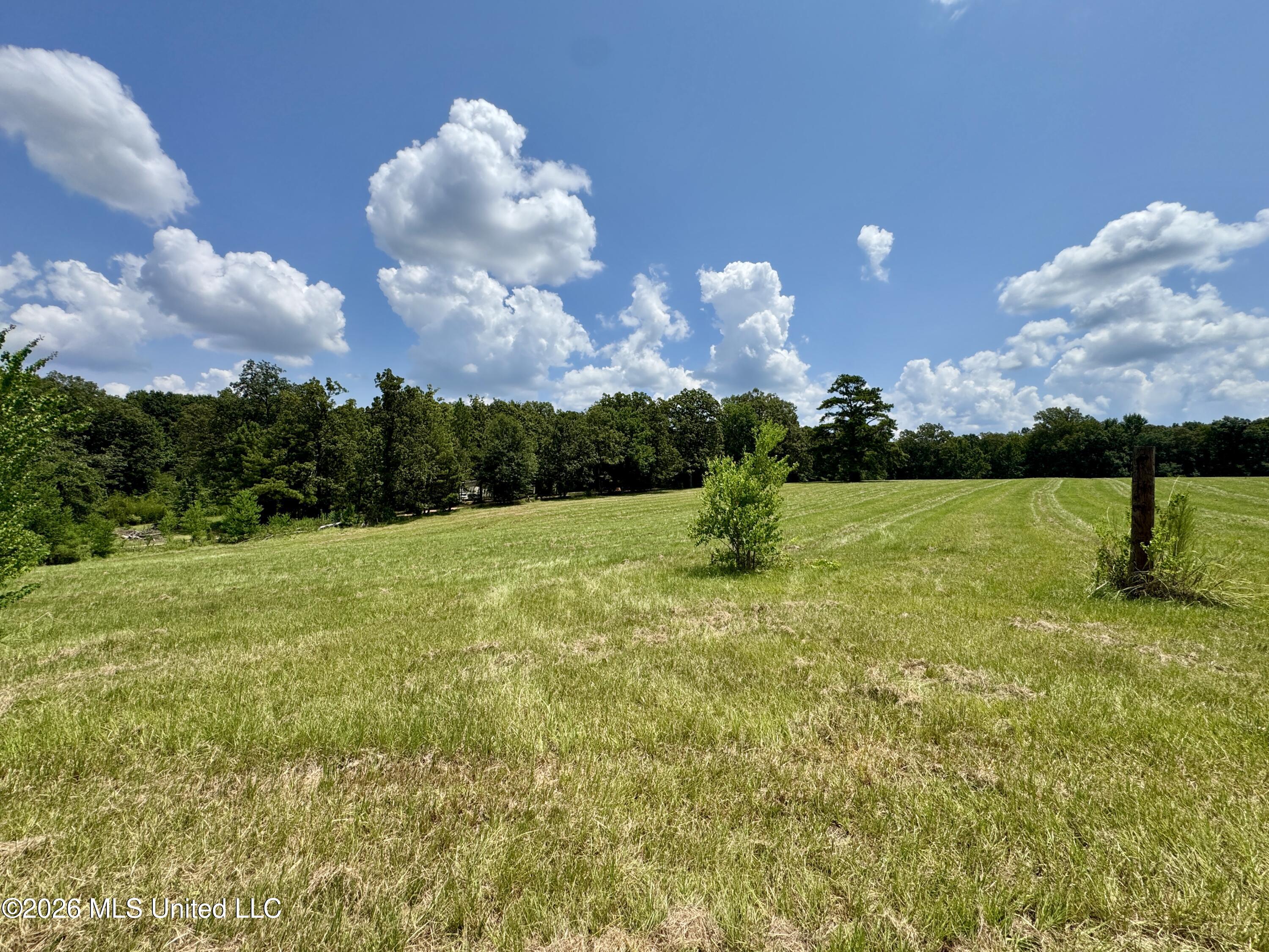 1530 Highway 49 Property Photo 18