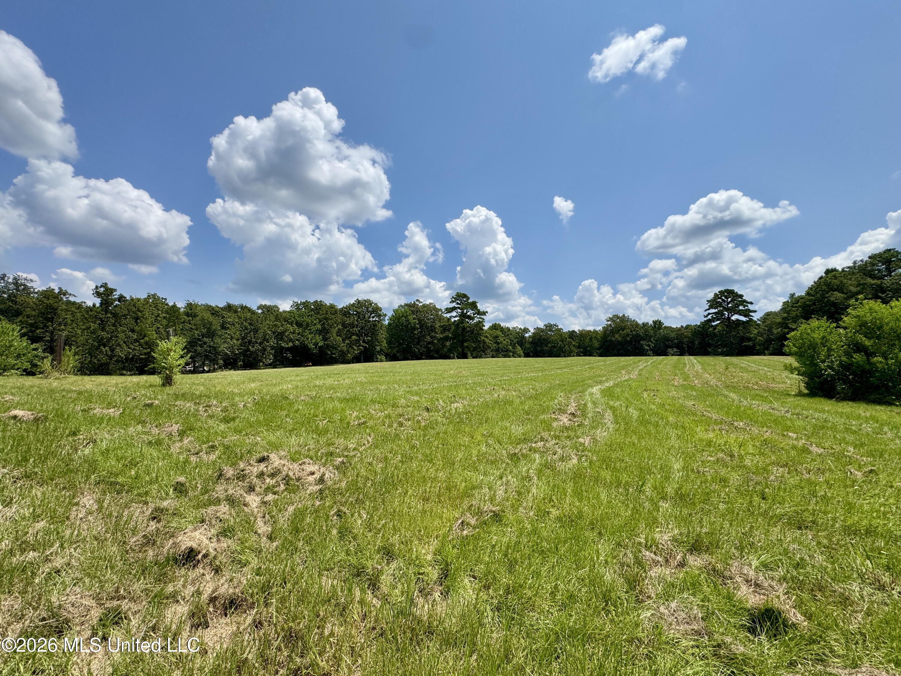 1530 Highway 49 Property Photo 19