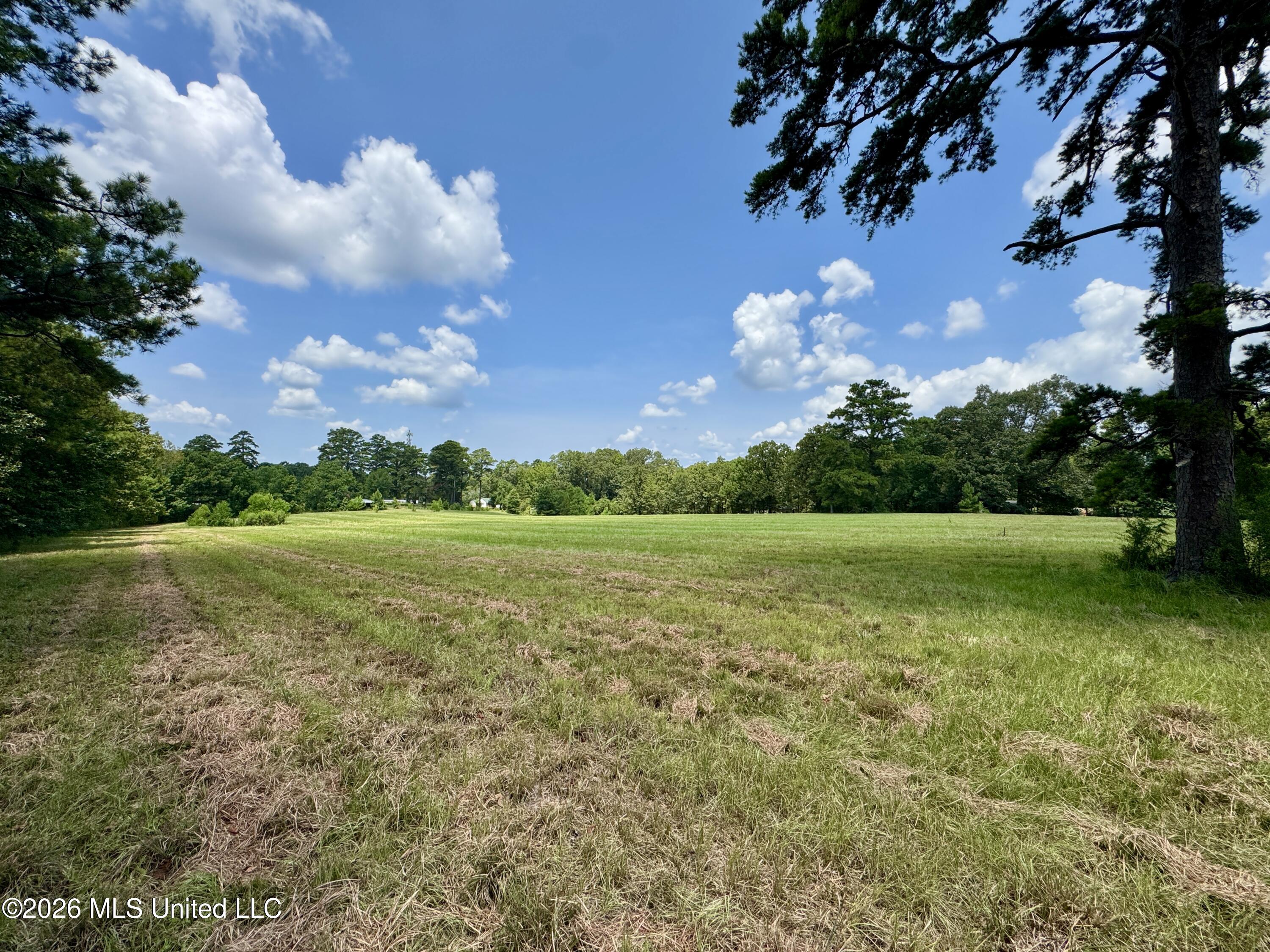 1530 Highway 49 Property Photo 20