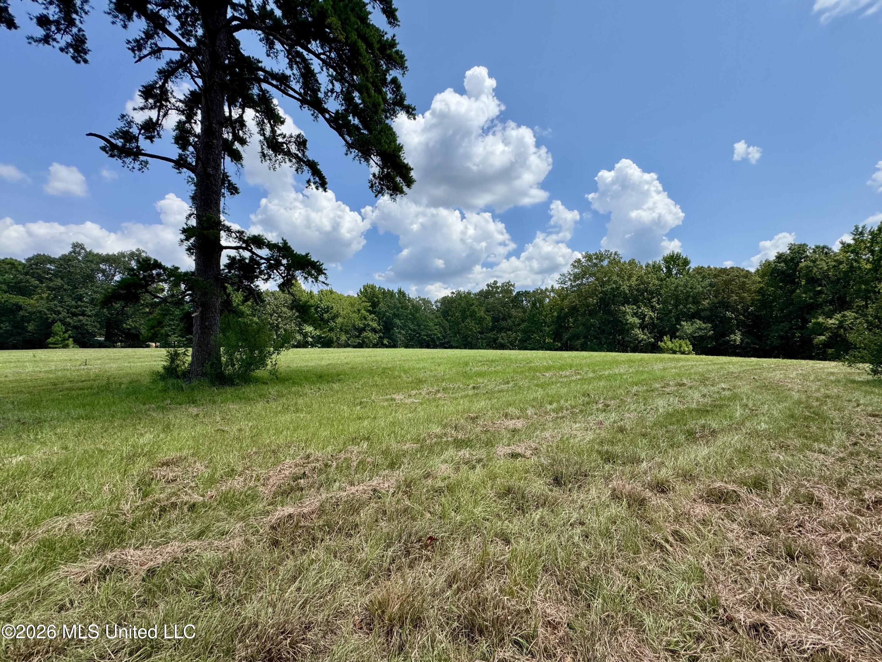 1530 Highway 49 Property Photo 22