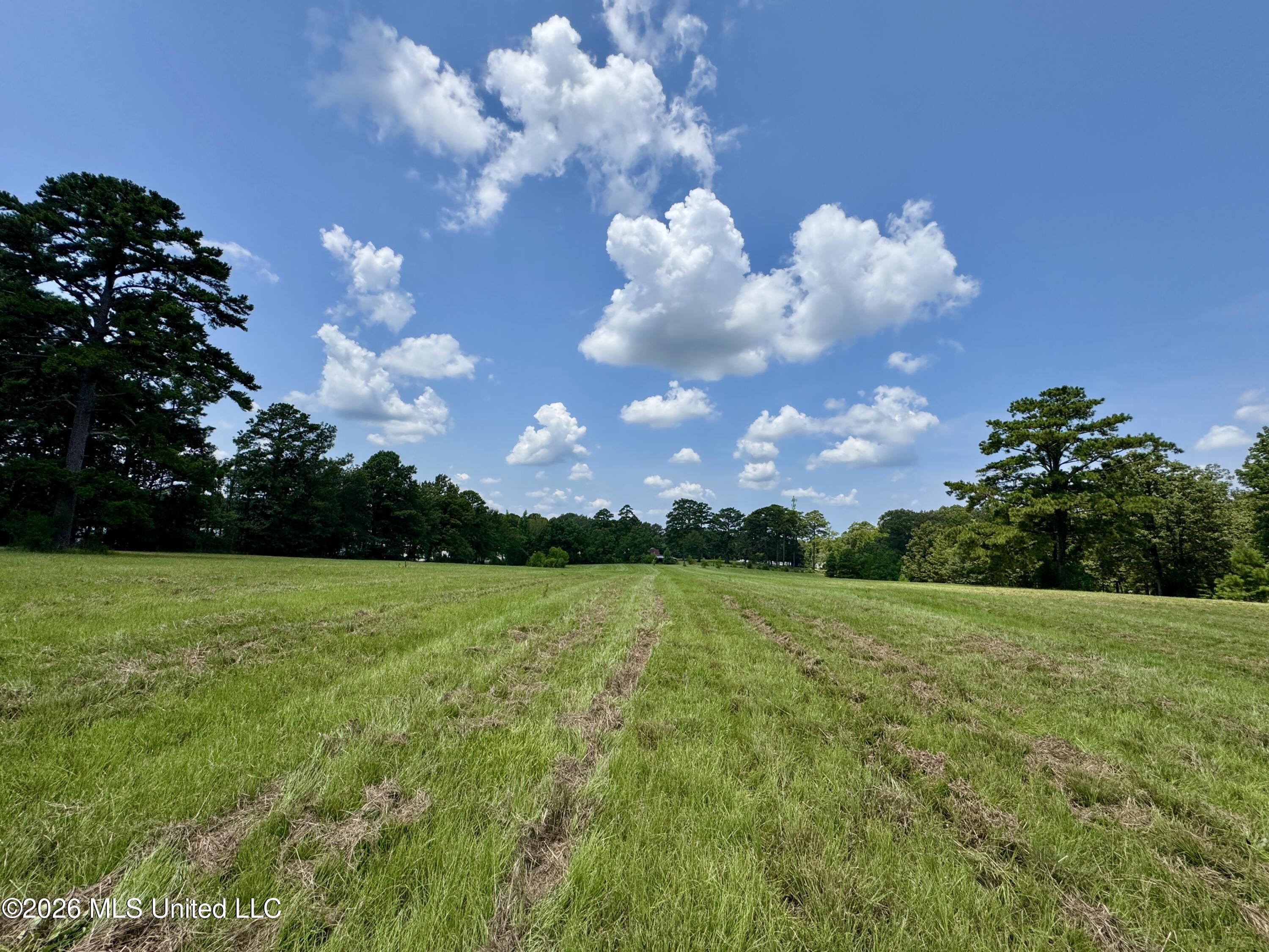 1530 Highway 49 Property Photo 23