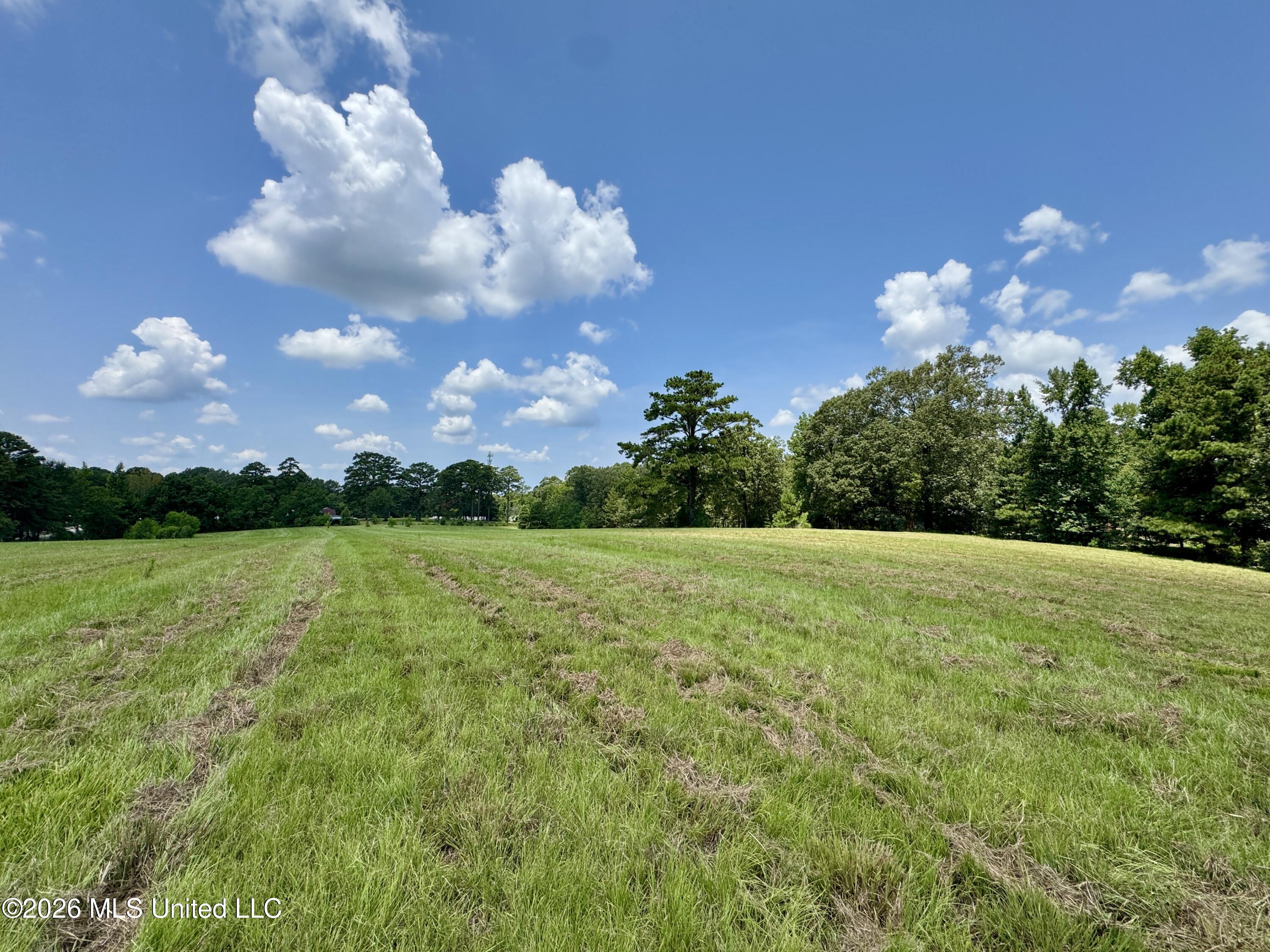 1530 Highway 49 Property Photo 25