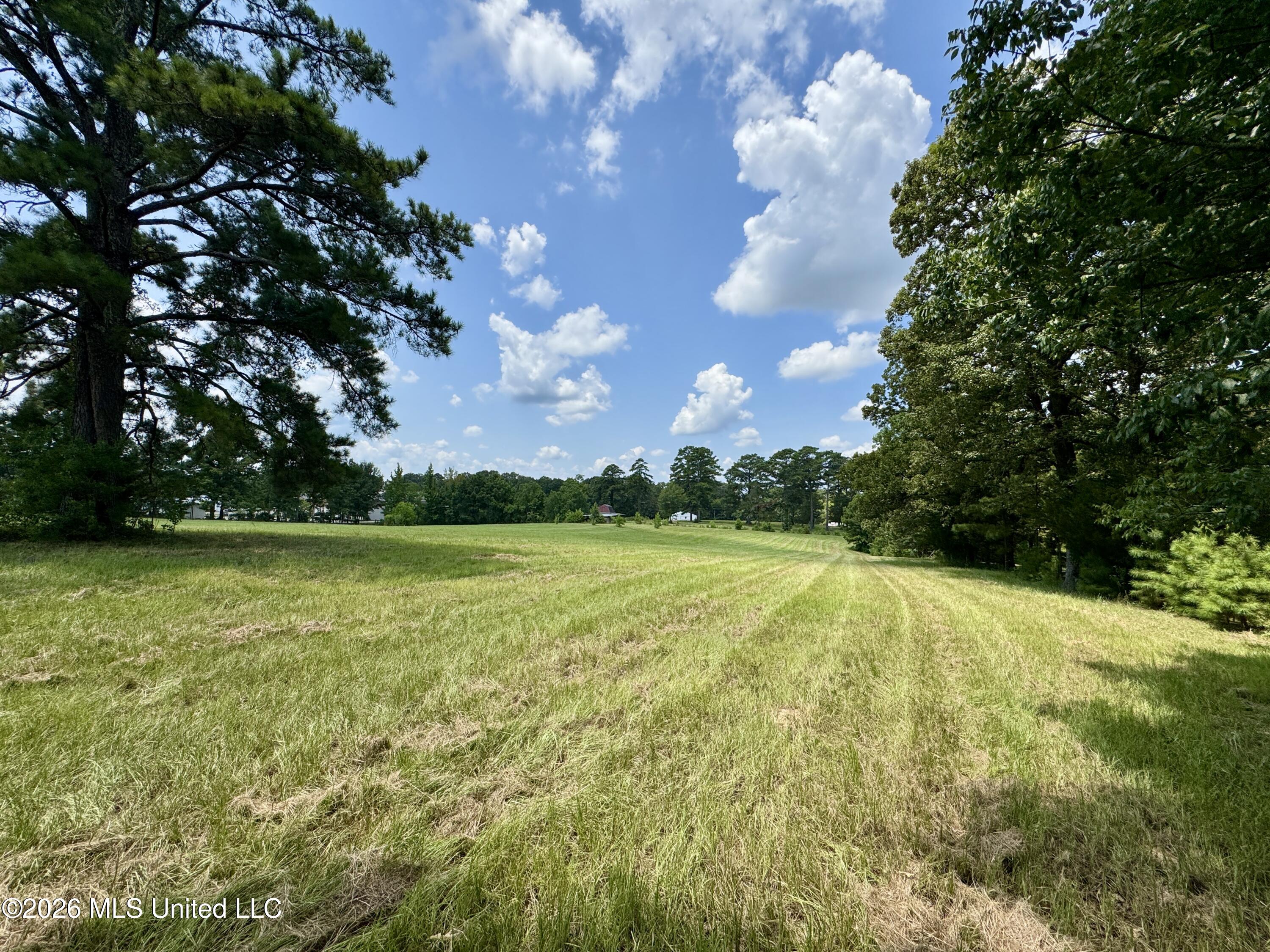 1530 Highway 49 Property Photo 26