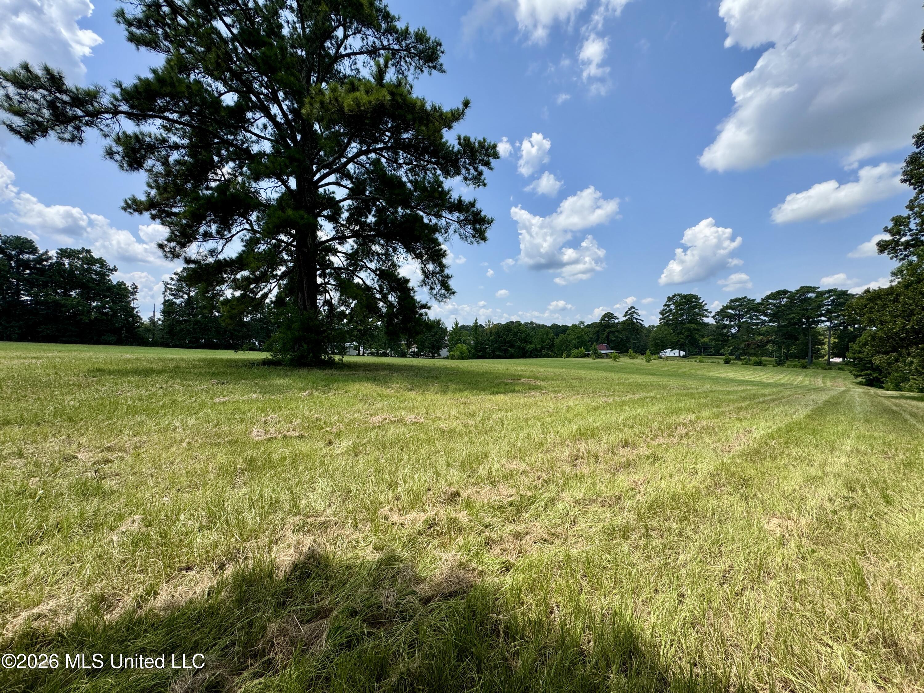 1530 Highway 49 Property Photo 28